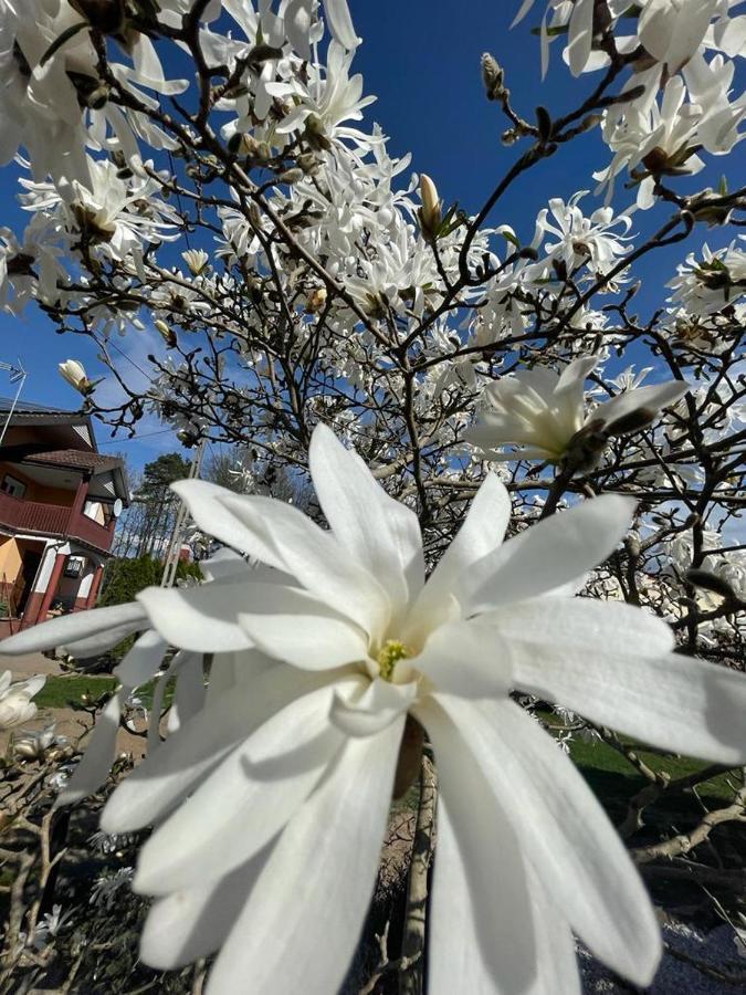 Zarzecze 27A Villa Augustow Bagian luar foto
